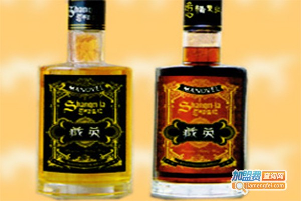 藏英酒业加盟