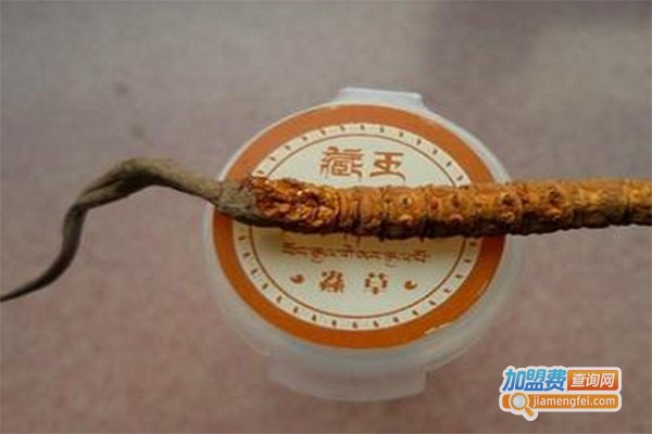 藏王格萨尔虫草酒业加盟