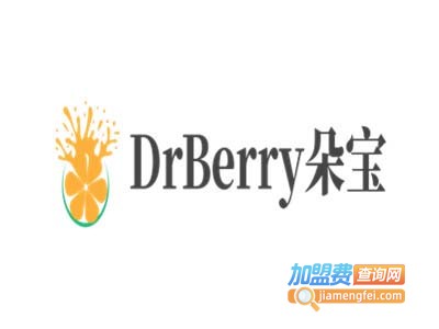 DrBerry朵宝酸奶冰激凌加盟费