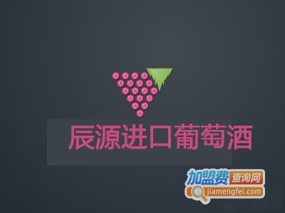 辰源进口葡萄酒加盟费