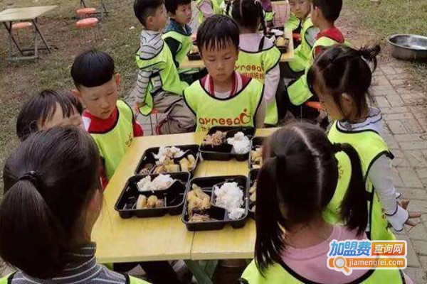 艾尔斯感统教育加盟费