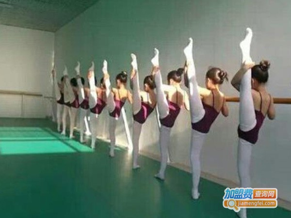 青青艺术舞蹈院校加盟