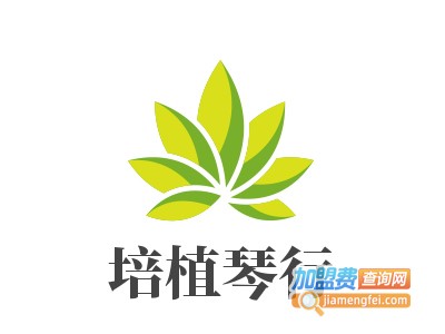 培植琴行加盟