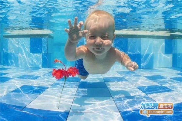 小鬼当家婴童游泳加盟费