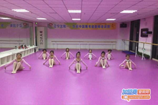 泽睿艺术培训学校加盟门店