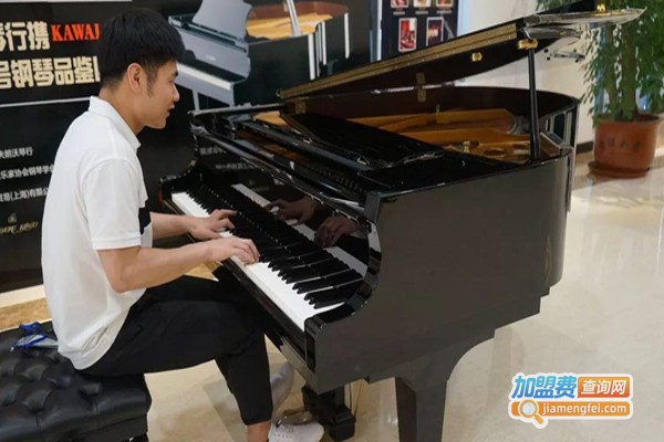 鲍蕙荞钢琴学校加盟费