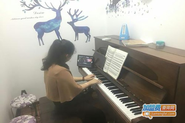 东风华艺音乐培训中心加盟费