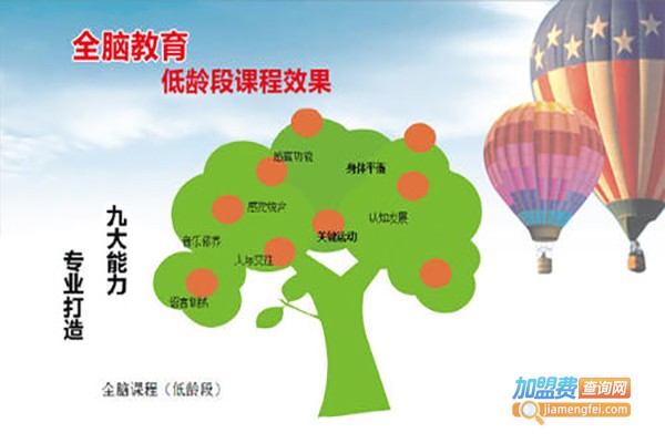 圣麟翔全脑开发加盟费