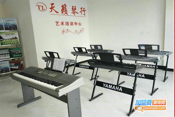 天籁琴行艺术培训中心加盟