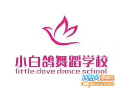小白鸽舞蹈培训中心加盟