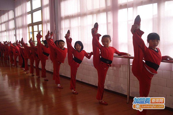 天姿舞蹈艺术培训中心加盟