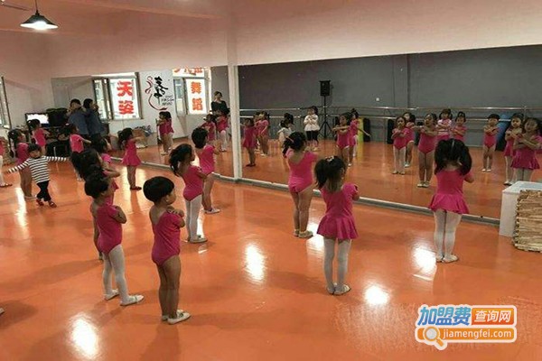 天姿舞蹈艺术培训中心加盟