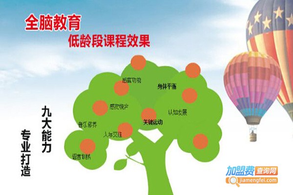 脑立方全脑开发加盟_加盟脑立方全脑开发确实能赚钱！