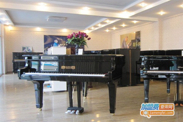 博雅钢琴艺术中心加盟费