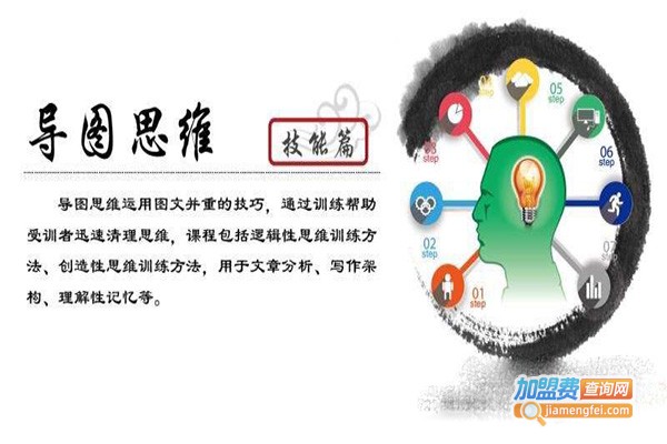脑立方全脑开发加盟