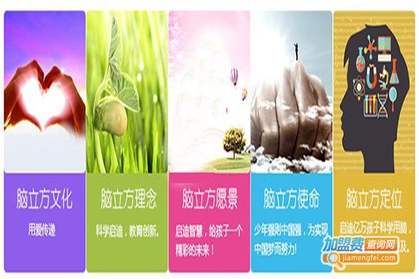 脑立方全脑开发加盟费