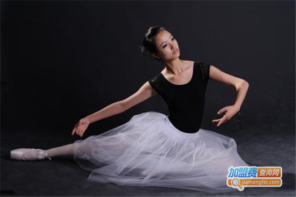 芭蕾公主舞蹈学校加盟费