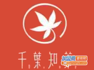 千叶知茶加盟费