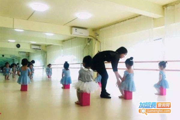 童翼国际儿童舞蹈学校加盟费多少钱？