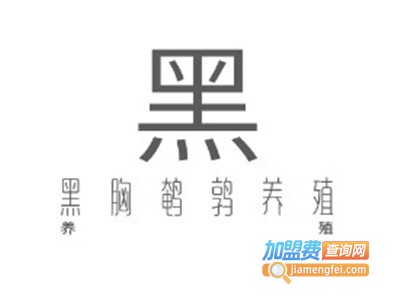 黑胸鹌鹑养殖加盟