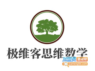 极维客思维数学加盟