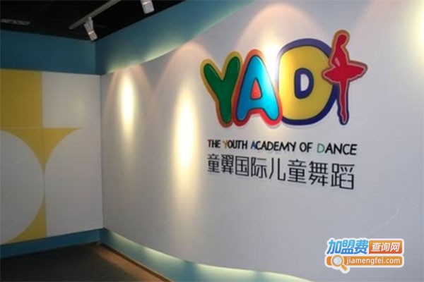 童翼国际儿童舞蹈学校加盟费