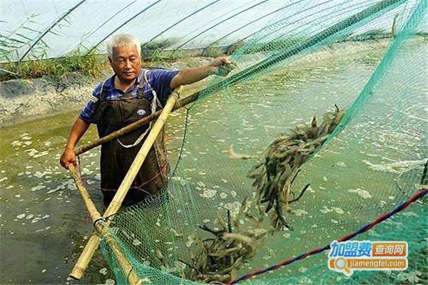 永和9号对虾养殖加盟