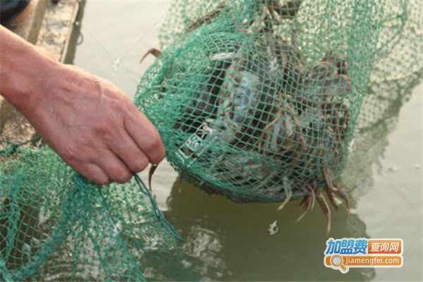 南湖蟹养殖加盟