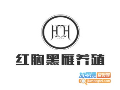 红胸黑雁养殖加盟