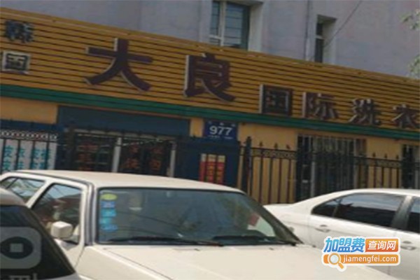 大良国际洗衣加盟