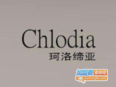 chlodia女装加盟费