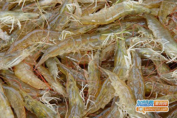 农大6号龙虾加盟费