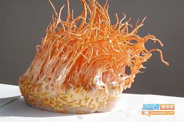 金土地北冬虫草加盟