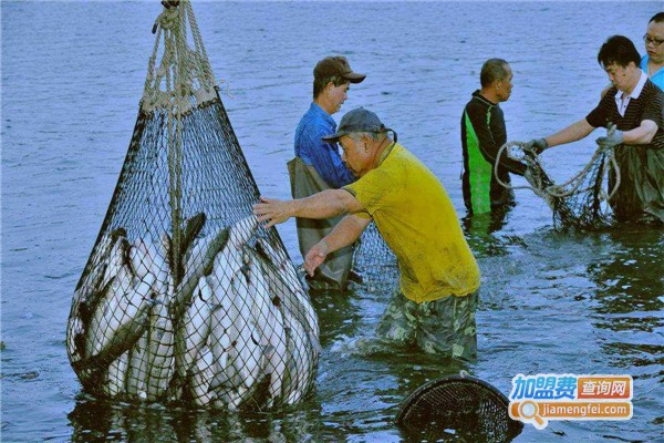 黑珍珠黑鱼养殖加盟费