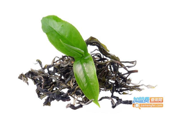 东晟铁皮石斛加盟