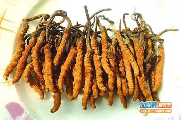 森禾美虫草