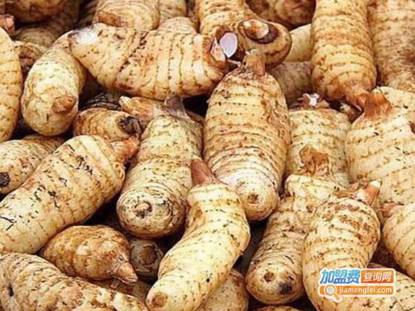 金航乌红杂交天麻加盟