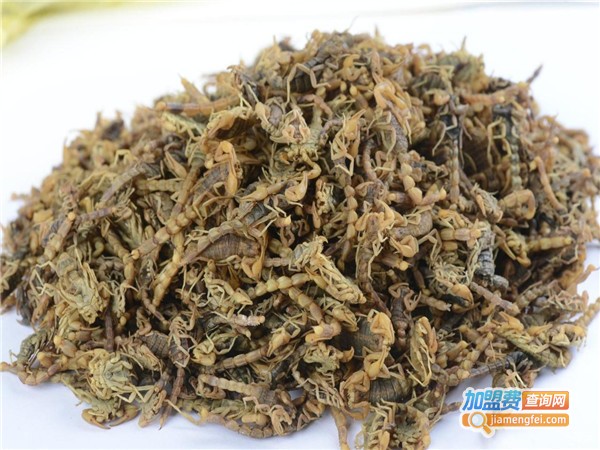 金丰全蝎加盟门店