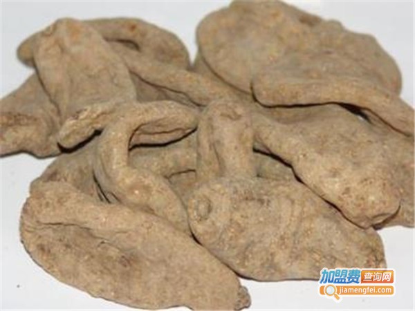 农富经天麻种植