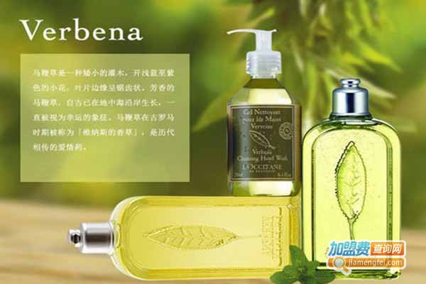 loccitane香水加盟