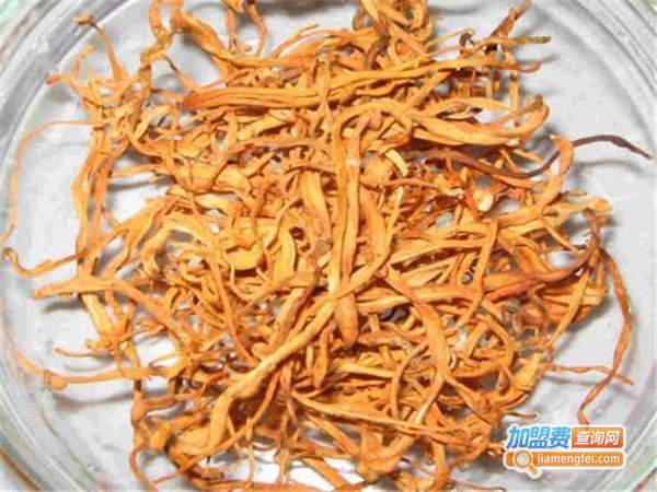 农博源6号金虫草