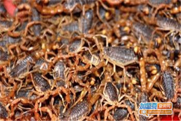 神农九号金蝎特种养殖