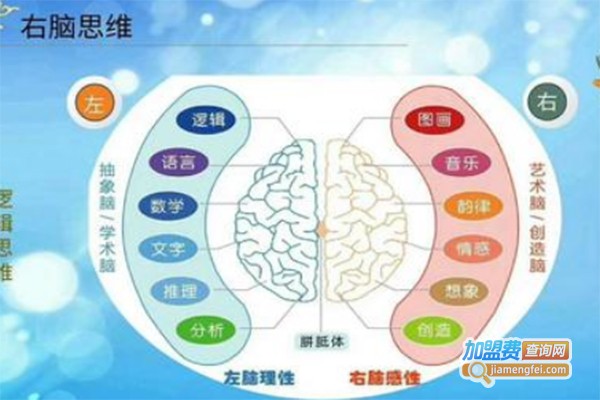 全脑智慧岛教育