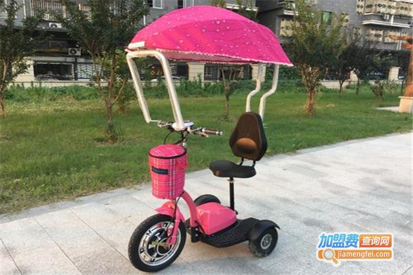 马路飞鸽电动车挡雨遮阳篷