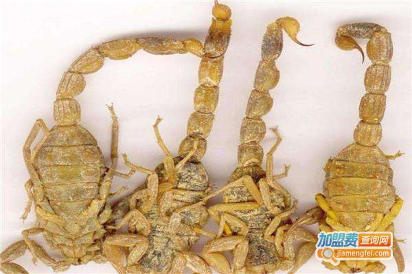 润农东亚药蝎加盟