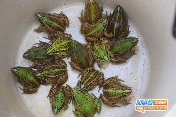 海川农业青蛙养殖加盟