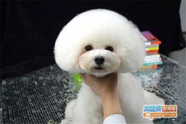 贵宾之家宠物美容