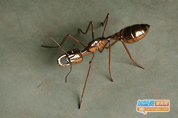 农广金蚂蚁养殖加盟