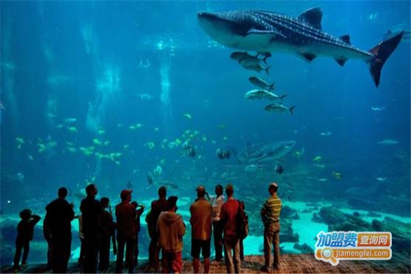 亮空水族加盟_开店加盟亮空水族利润丰厚赚大钱！