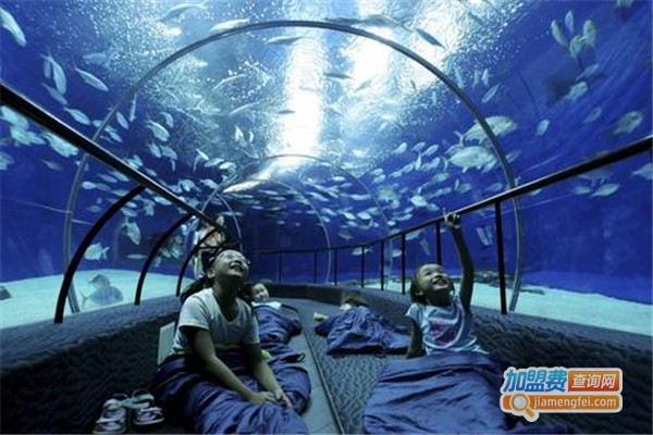 恒毅信水族用品